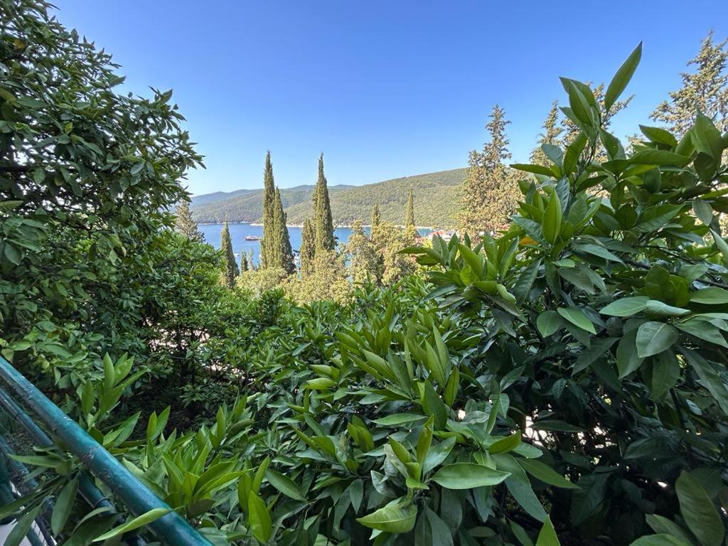 Apartment Near The Sea 650 Rabac Zewnętrze zdjęcie