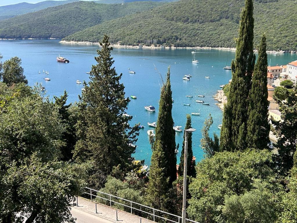 Apartment Near The Sea 650 Rabac Zewnętrze zdjęcie